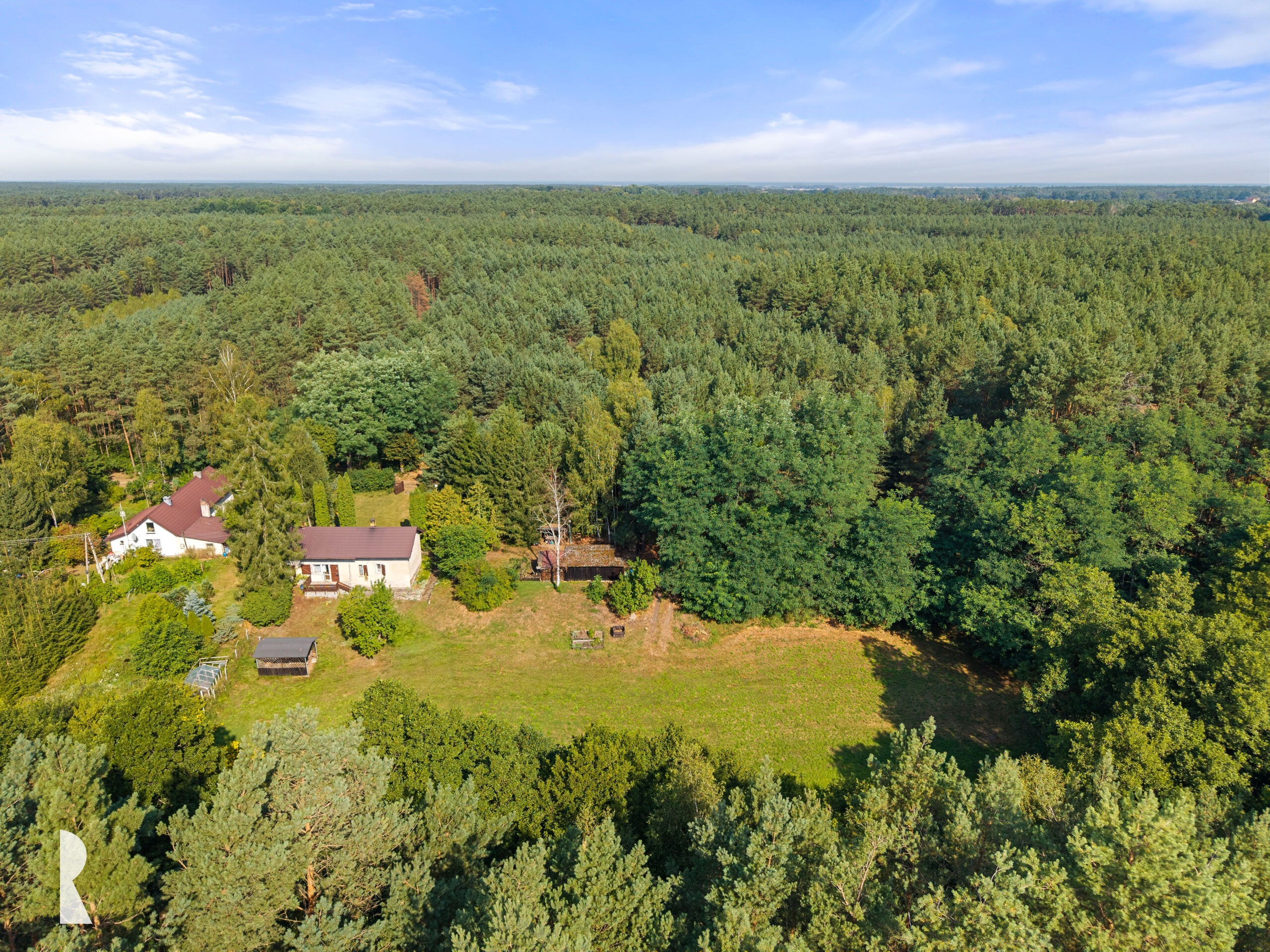 Luksus natury – 1,37 ha ziemi z domem i lasem